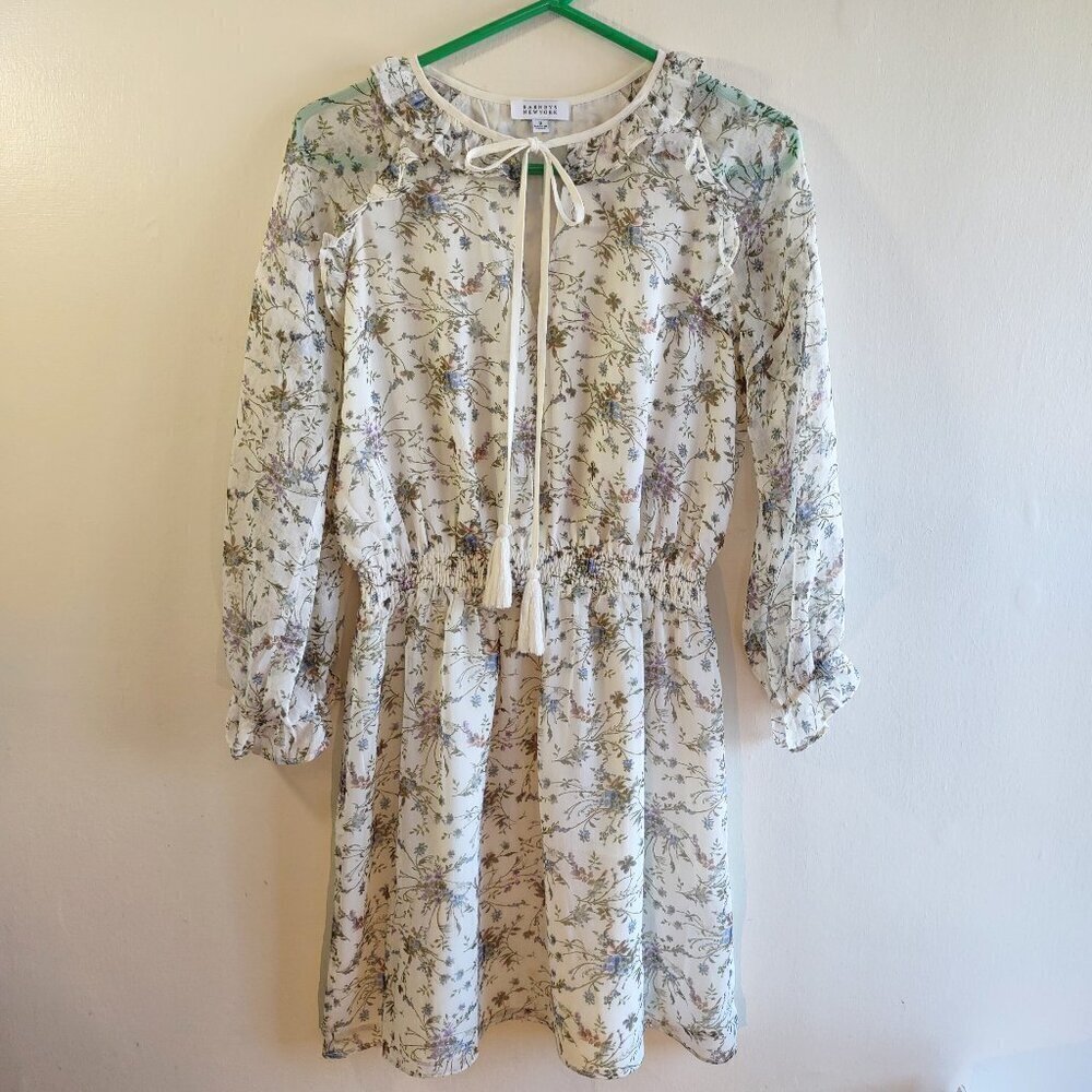 Barneys New York Floral Dress Size Small Sheer Sleeve Ruffle Cottage Feminine
